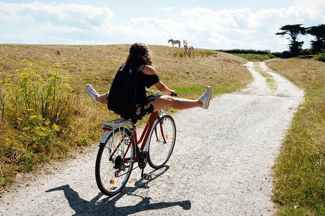 Electric bike excursion in Camargue - Price and Value