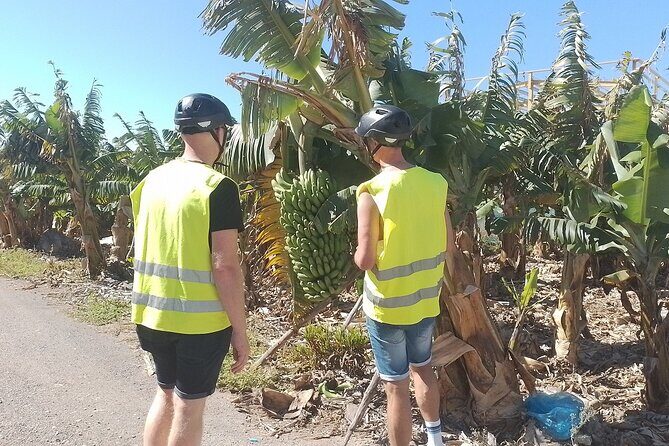 Electric Bike Panoramic South Coast Tour Optional Fishing Tapas - FAQ