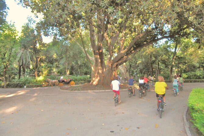 Electric Bike Rental 3 hours - Why This Rental Works for Different Travelers