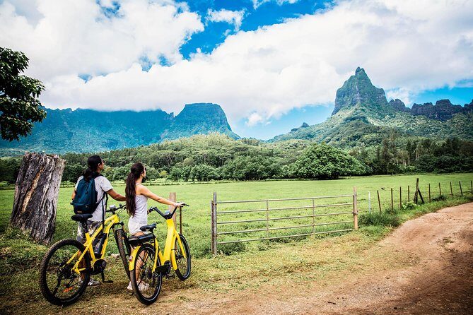 Electric Bike Rental Moorea - The Downside: Bikes and Maintenance