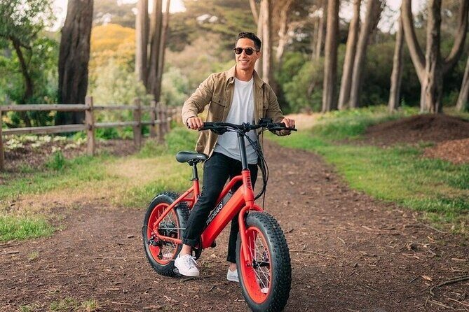 Electric Bike Rentals - Cost and Value