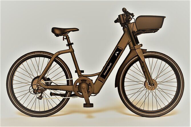 Electric Bike Rentals in The Villages Florida with Delivery - Cost-Value Analysis