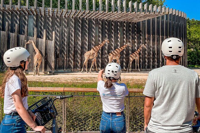 Electric bike ride in the Parc de la Tête d'Or - 2h - FAQs about the Electric Bike Tour in Lyon