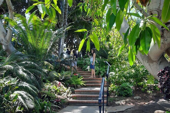 Electric Bike Self Guided Food Tour of North San Diego Coast - Practical Details and Tips