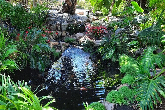 Electric Bike Self Guided Food Tour of North San Diego Coast - Final Thoughts