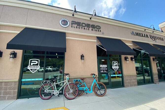 Electric Bike Tours in Amelia Island - Key Points