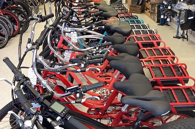 Electric Bikes Rental in Dunedin - Why an Electric Bike in Dunedin Is a Great Choice