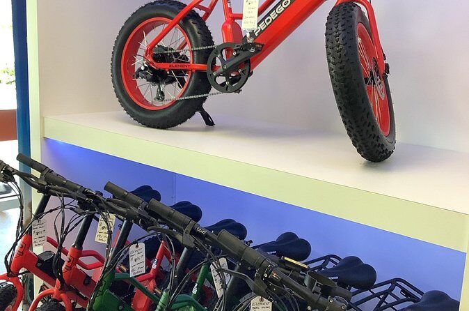 Electric Bikes Rental in Dunedin - FAQ: Electric Bike Rental in Dunedin