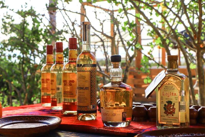 Electric Eco-Bike Beach Adventure with Mexican Lunch - The Experience in Detail