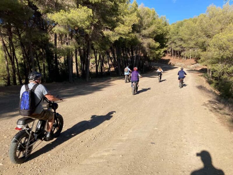 Electric FAT Biking in Montes de Malaga & Countryside - Who Is This Tour Best For?