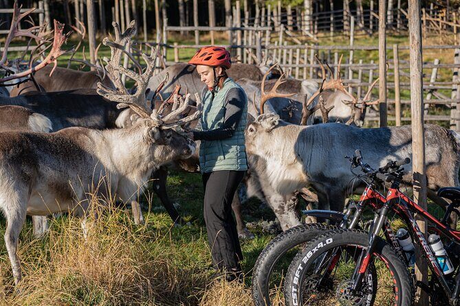 Electric Fatbike Trip to the Reindeer Farm - Final Thoughts