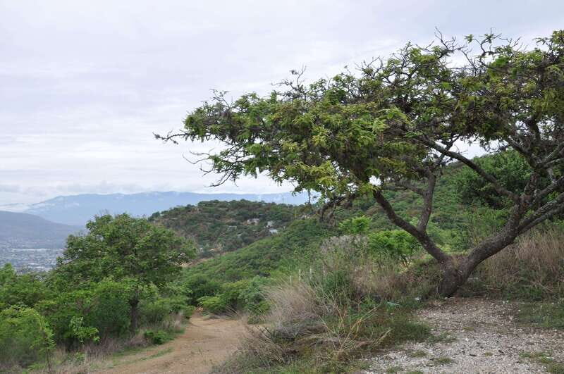 Electric Mountain bike in Oaxaca - Key Points
