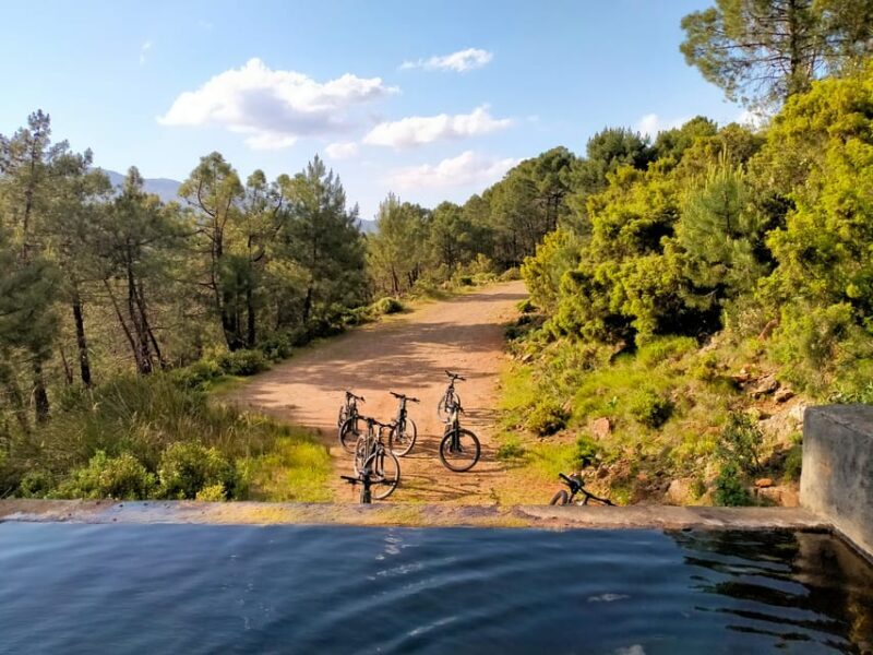 Electric mountain bike in Sierra de las Nieves national park - Key Points