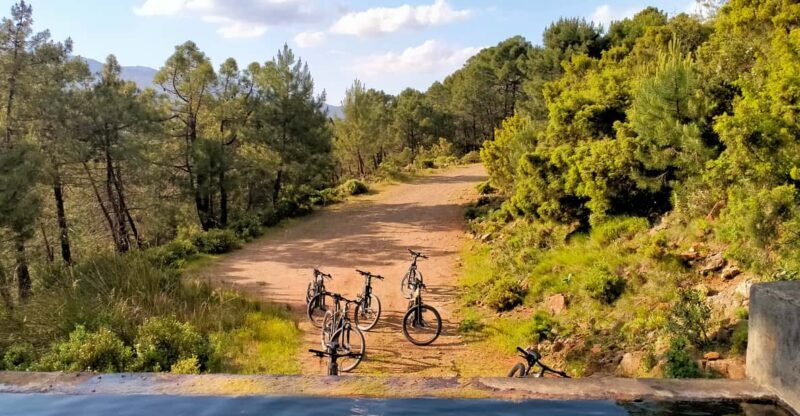 Electric mountain bike in Sierra de las Nieves national park - Who Should Consider This Tour?