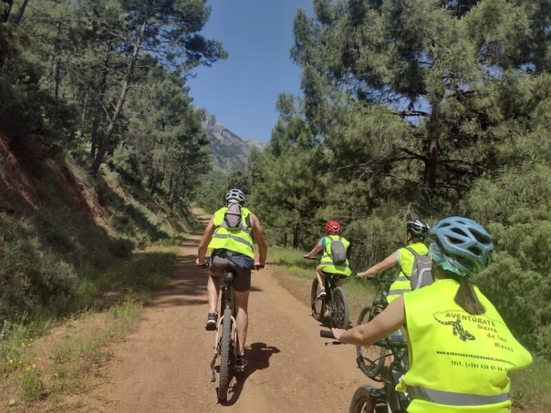 Electric mountain bike in Sierra de las Nieves national park - Concluding Thoughts