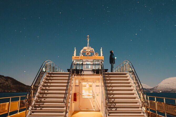 Electric Northern Lights Cruise - Food, Comfort, and Amenities