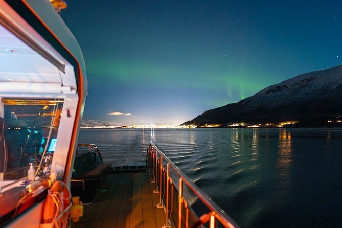 Electric Northern Lights Cruise - Who is This Tour Best Suited For?