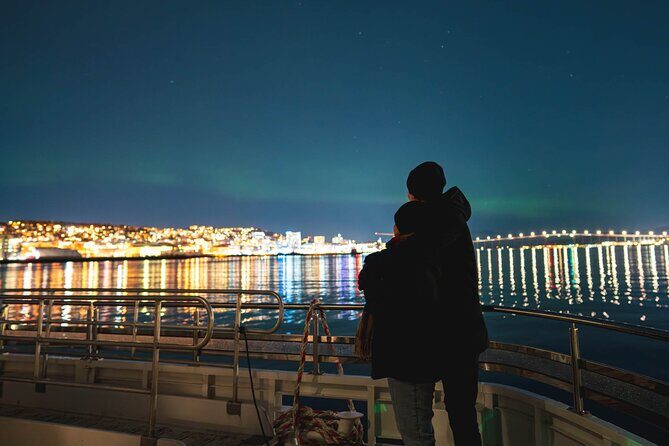 Electric Northern Lights Cruise - The Sum Up