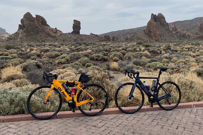 Electric Olmo E-bro 2.0 E-race Bike 500W Rental in Tenerife - Who Should Consider This Tour?