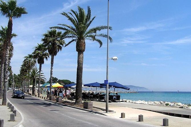 Electric Scooter Rental - Final Thoughts