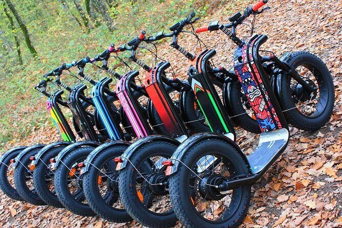 Electric scooter tour in Hossegor - What the Reviews Say