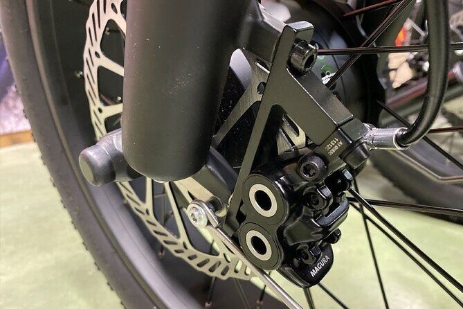 Electric scooter tour in Hossegor - Practical Details and Tips