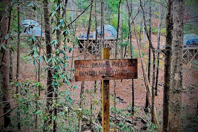 Elijay Hike w/ Waterfall & Wine Tasting Private Tour from ATL - The Bottom Line: Is It Worth It?