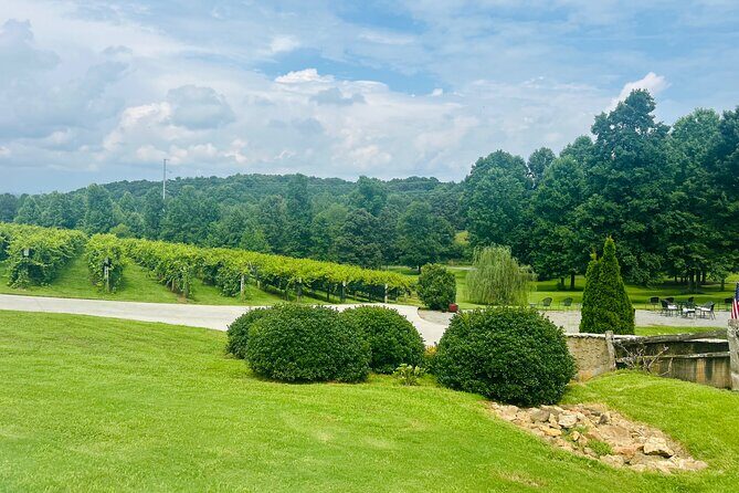 Elijay Three Vineyards Private Wine Tasting Tour from Atlanta - A Detailed Breakdown of the Tour