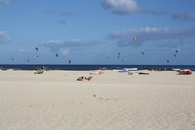 Elisabeth's Tailor made tours and services in Amsterdam and the Netherlands. - What the Reviews Say