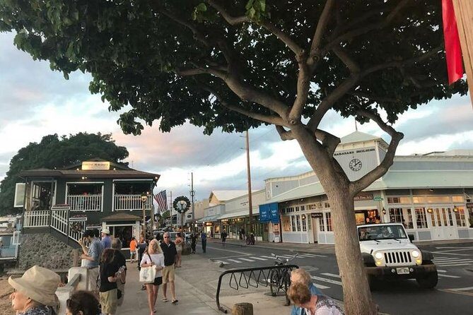 Elite Private Tour - Exploring Maui on Your Terms