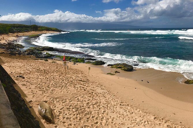 Elite Private Tour - The Sum Up