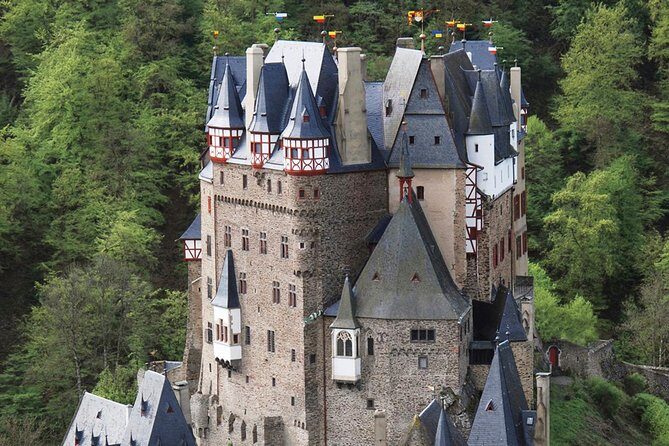 Eltz Castle Small-Group Tour from Frankfurt with Dinner - Who Should Consider This Tour?