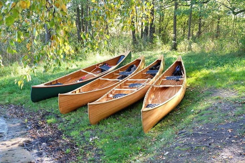 emaitija National Park: Full-Day Canoe Tour with Picnic - The Experience for Different Travelers