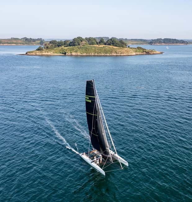 Embark in Larmor-Baden: discover our Extreme 40 catamaran. - Who Is This Tour Best For?
