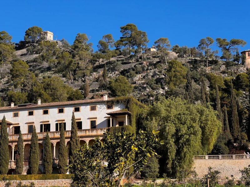 Embrace the enchantment of Mallorca's almond blossom season - Exploring Mallorca’s Scenic Beauty
