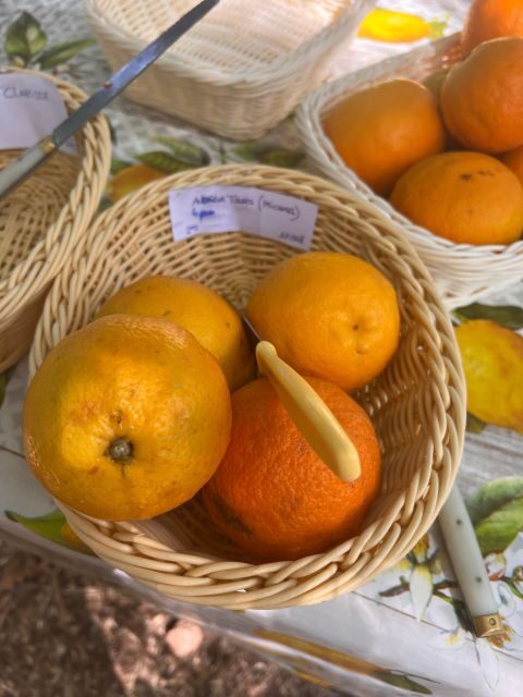 Embrace the enchantment of Mallorca's almond blossom season - The Charm of Valldemossa