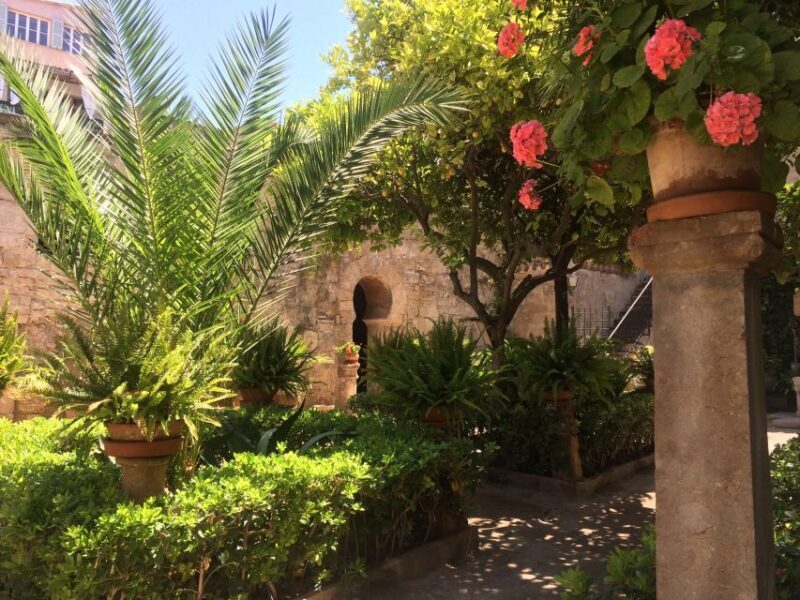 Embrace the enchantment of Mallorca's almond blossom season - Price and Value: Is It Worth It?