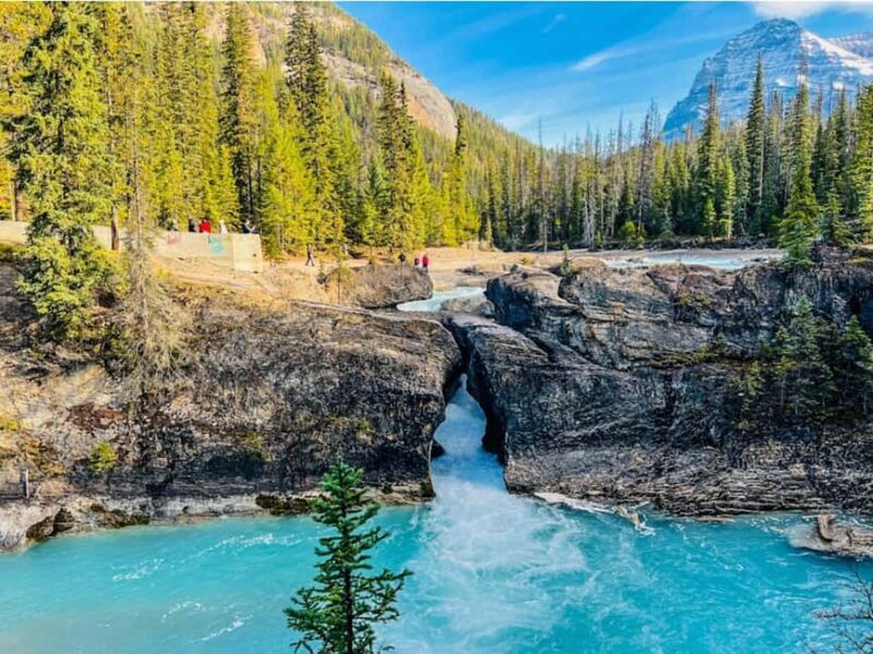 Emerald Lake, Wapta Falls & Takakkaw Falls in Yoho - In-Depth Review: What You Can Expect