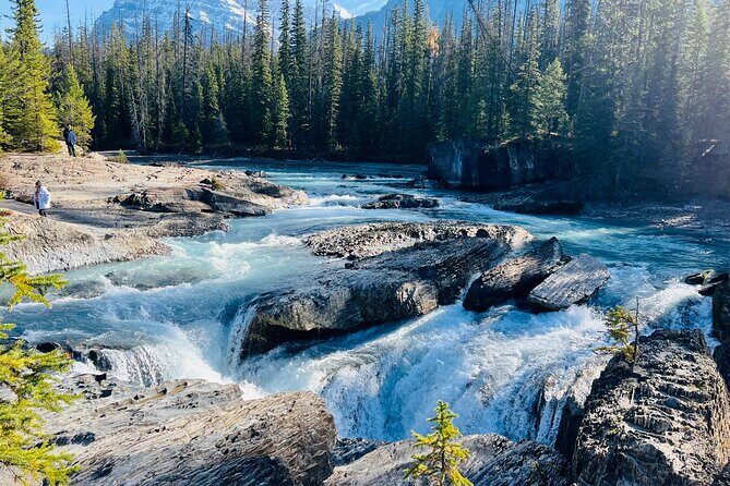 Emerald Lake,Natural Bridge, Peyto Lake Small Group Half Day Tour - Who Should Consider This Tour?
