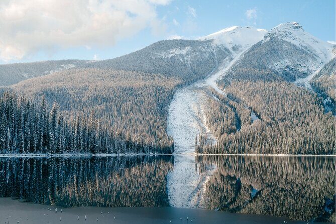 Emerald Lake,Natural Bridge, Peyto Lake Small Group Half Day Tour - Frequently Asked Questions