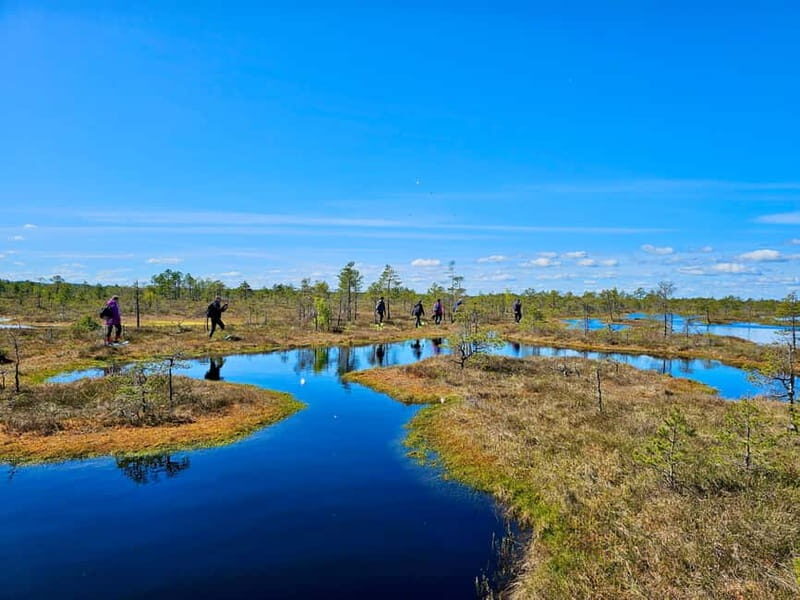 emeri Bogs Adventure: Explore Wetlands In Bog Shoes - Key Points