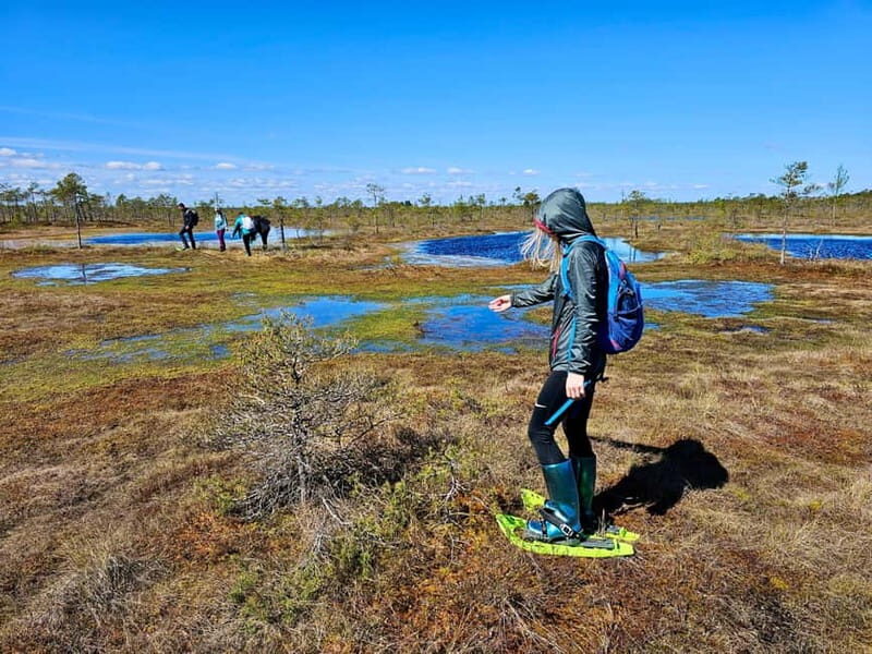 emeri Bogs Adventure: Explore Wetlands In Bog Shoes - The Itinerary in Detail