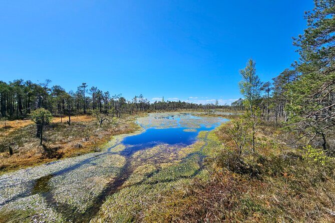 emeri Bogs Adventure: Explore Wetlands In Bog Shoes - Who Should Consider This Tour?
