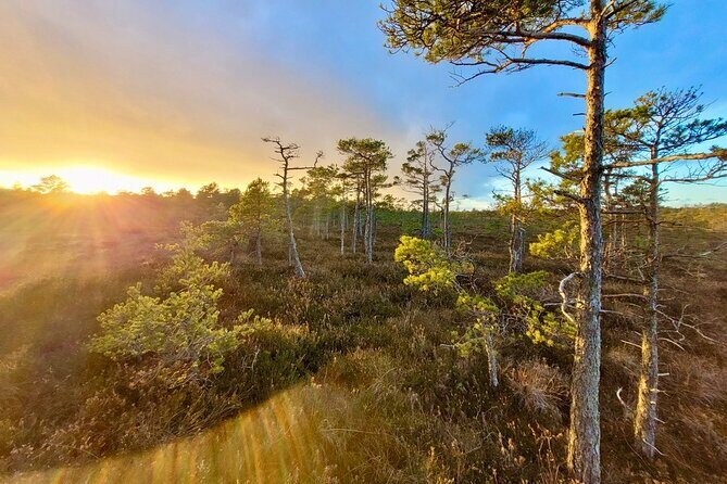 emeri Bogs Adventure: Explore Wetlands In Bog Shoes - Final Thoughts