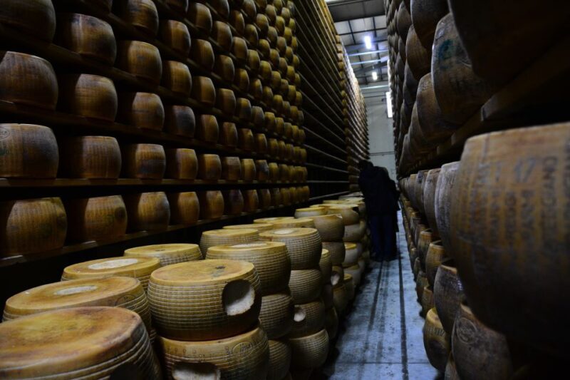 Emila-Romagna: Parmigiano, Prosciutto, Wine & Balsamic Tour - An Honest Look at the Tour Experience