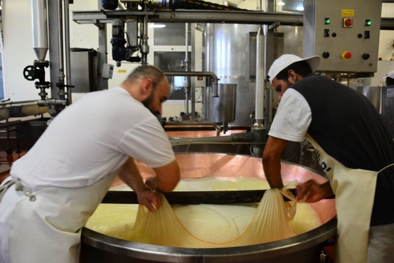 Emila-Romagna: Parmigiano, Prosciutto, Wine & Balsamic Tour - Who Should Consider This Tour?