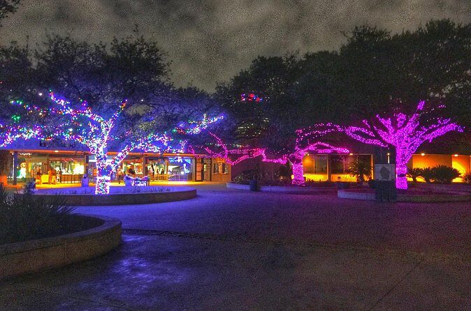 Enchanting Christmas Private Tour in Magical Houston - FAQ