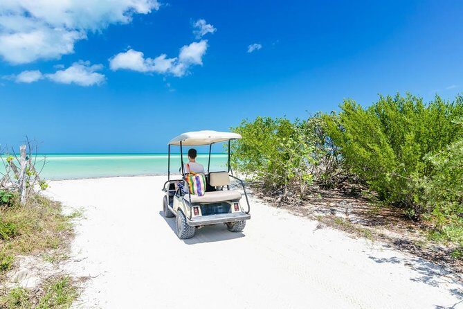 Enchanting Holbox Tour. Experience the paradisiacal beaches of the island. - What to Expect on the Enchanting Holbox Tour