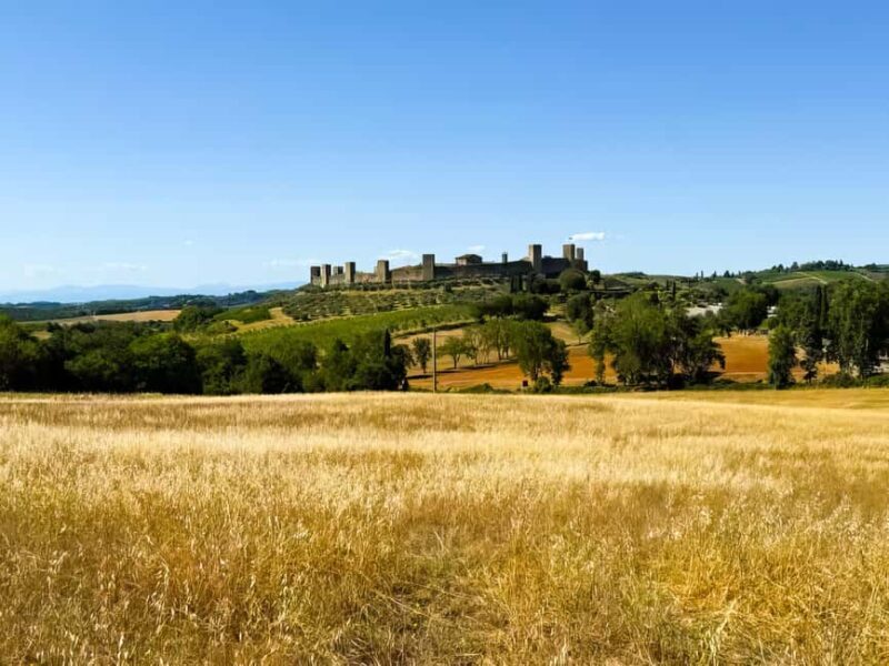 Enchanting Small Group Chianti Castles & Wine Experience - What Reviewers Say