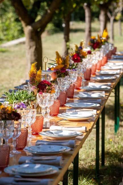 Enjoy a countryside meal and champagne tasting in the Côte des Bar! - Key Points